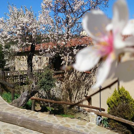 Valdolazaro Guest House Los Navalucillos Екстериор снимка
