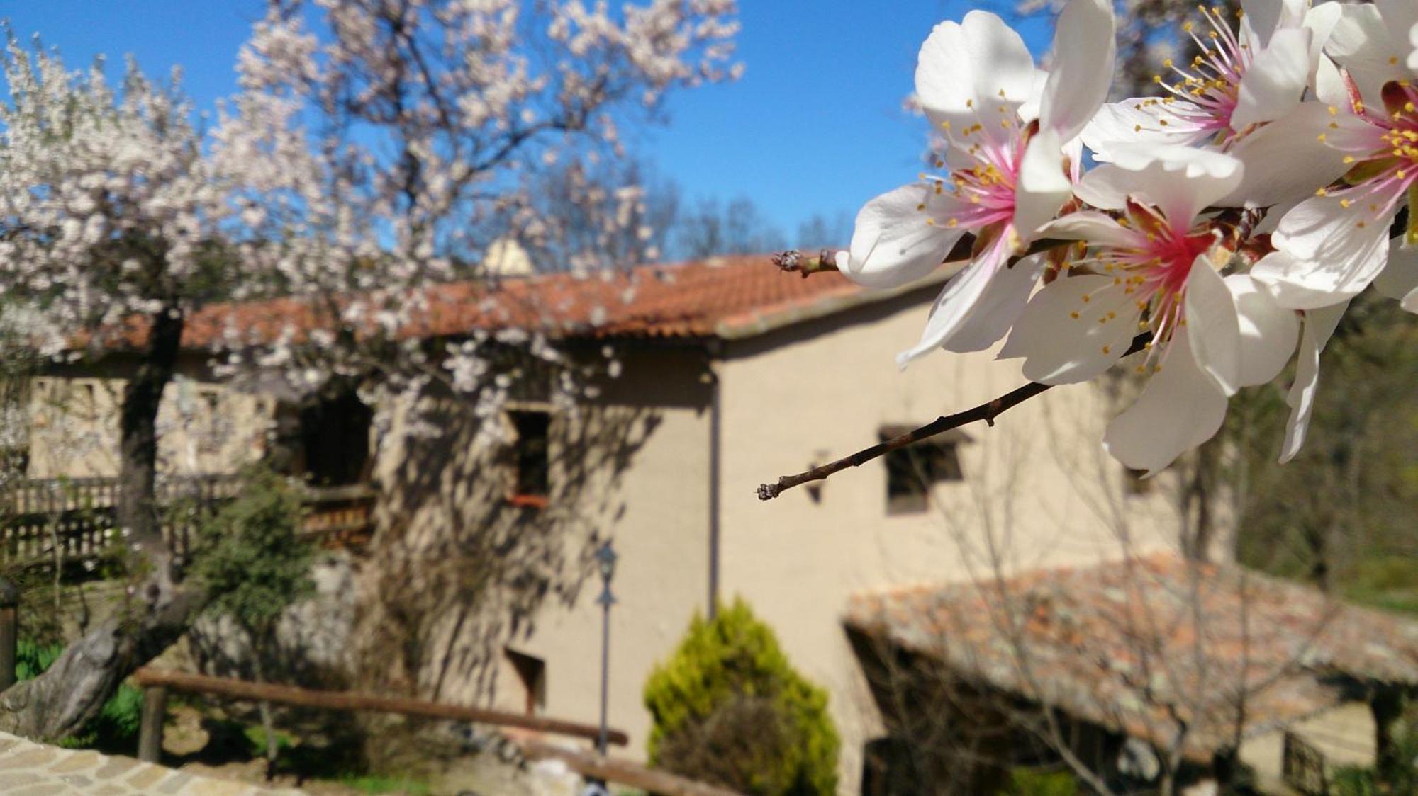 Valdolazaro Guest House Los Navalucillos Екстериор снимка