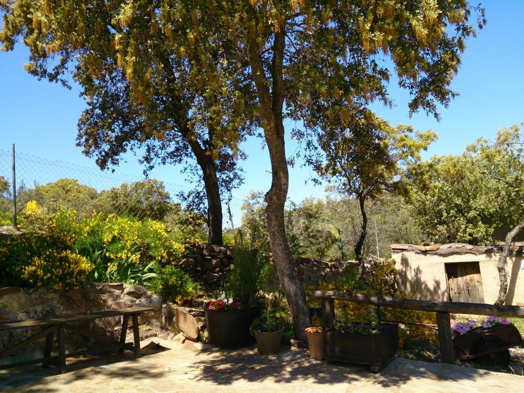 Valdolazaro Guest House Los Navalucillos Екстериор снимка