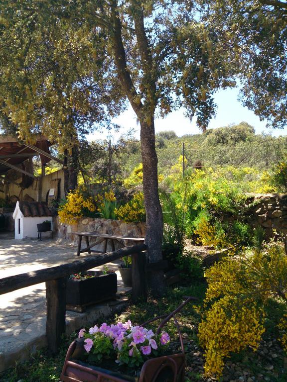 Valdolazaro Guest House Los Navalucillos Екстериор снимка